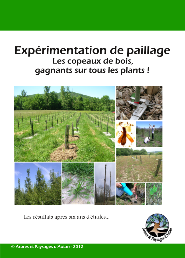 Expérimentation de paillage : les résultats après six ans d’études