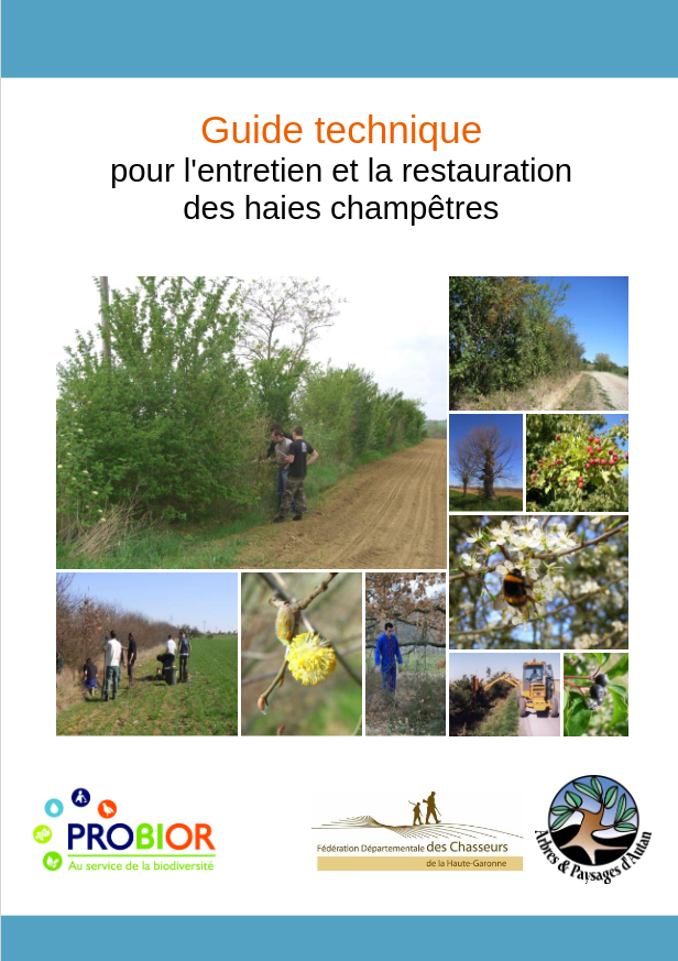 Guide technique pour l’entretien et la restauration des haies
