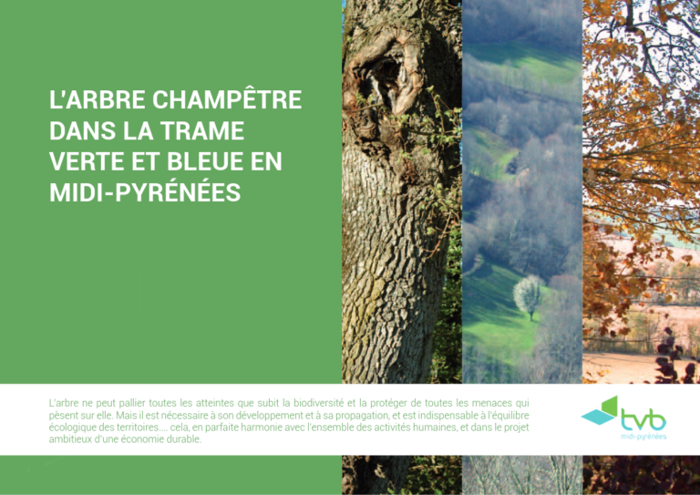 L’arbre champêtre dans la Trame Verte et Bleue en Midi-Pyrénées
