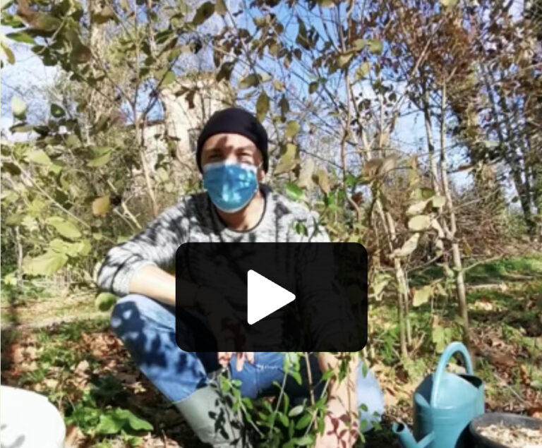 Vidéos pour réussir vos plantations