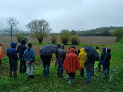 Découverte des trognes et arbres têtards : Initiation à leur entretien et création