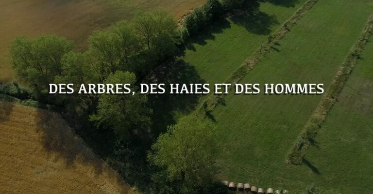 Film documentaire sur l’agroforesterie en Occitanie