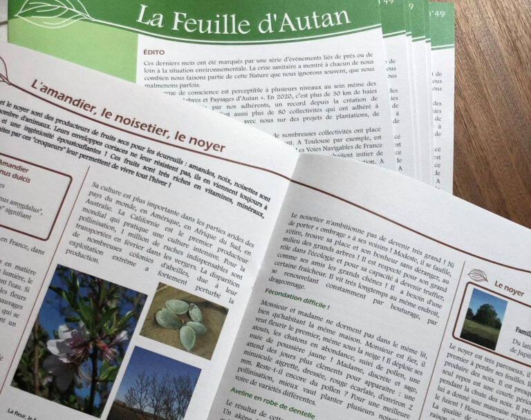 Feuille d’Autan n°5