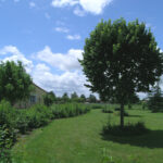 Suivi_4_haie_champêtre_particulier